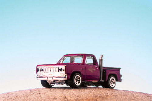 Studio Macro Photography